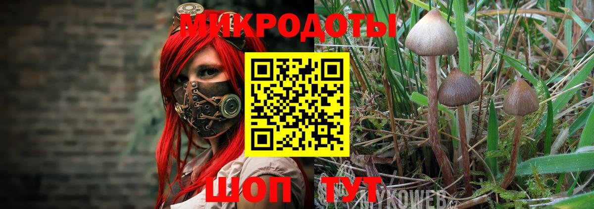 Псилоцибиновые грибы GOLDEN TEACHER Бердск