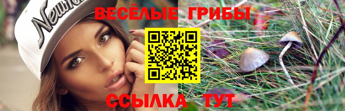 Галлюциногенные грибы Magic Shrooms  Галлюциногенные грибы ЛСД  Вход с VPN  Бердск 